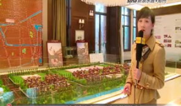 五月花在线视频,穿越时空的浪漫邂逅