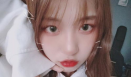 91直播鲜花多少钱,品质与价值的完美融合